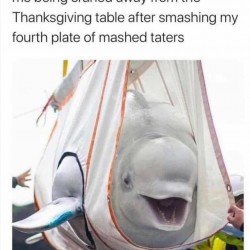 Thanksgiving