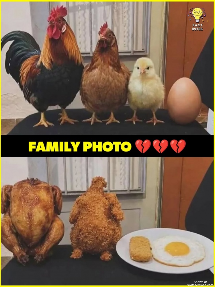 Family Photo #0