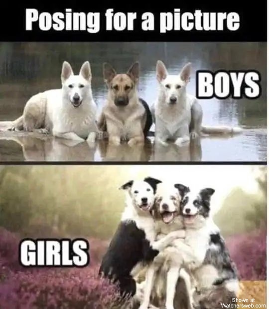 Posing For A Picture #0