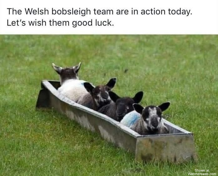 Welsh Bobsleigh Team #0