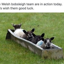 Welsh Bobsleigh Team