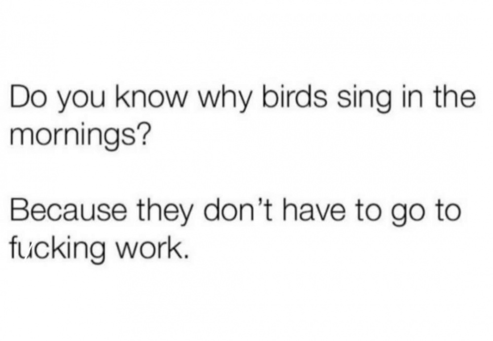 Birds Sing #0