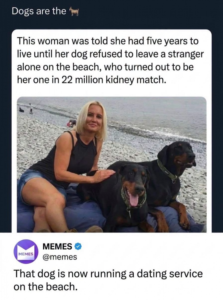 Dating Service #0