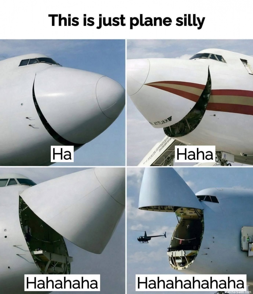 Plane Silly #0