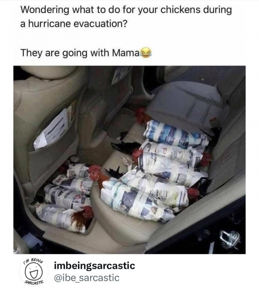 Hurricane Evacuation #0
