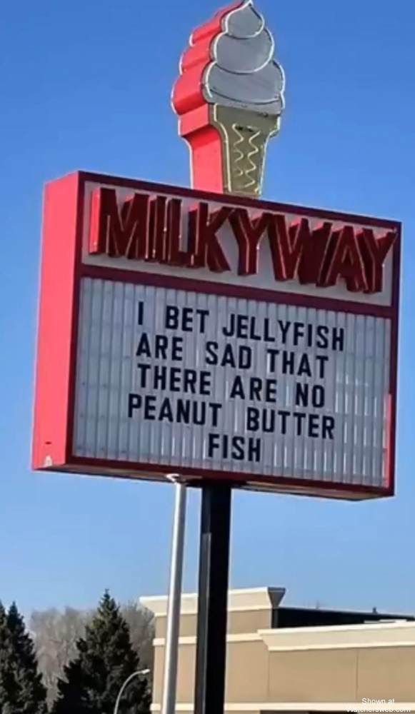 Jellyfish #0