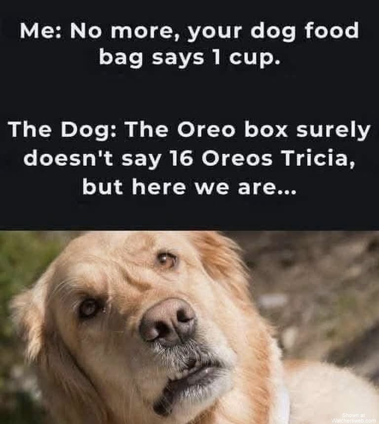 Tricia Is A Bitch #0