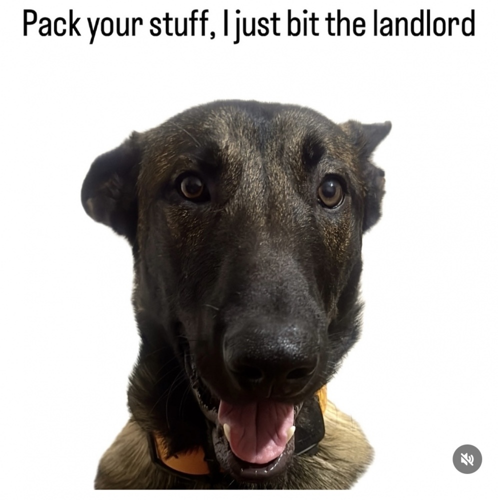 Pack Your Stuff #0