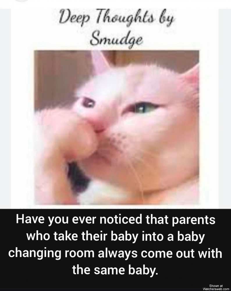 Smudge #0