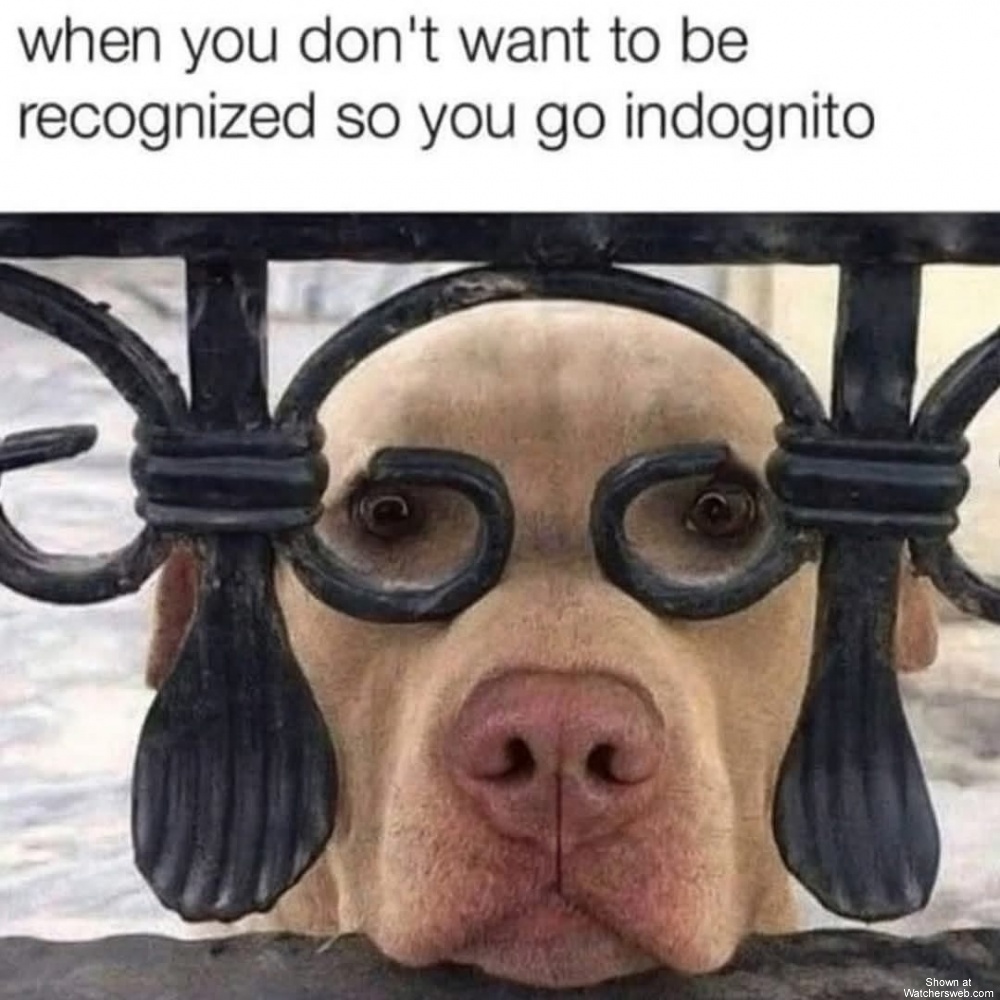 Indognito #0