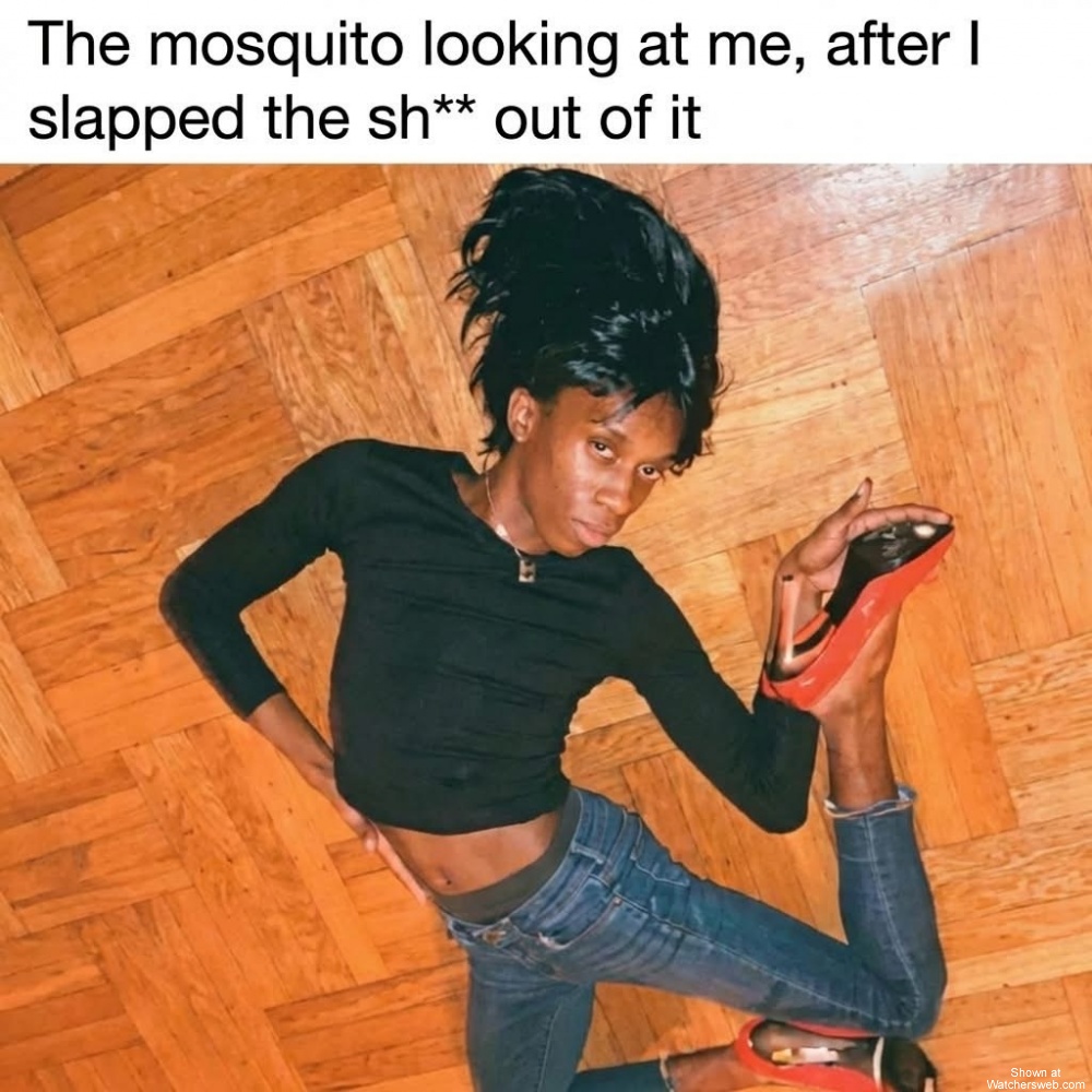 The Mosquito #0