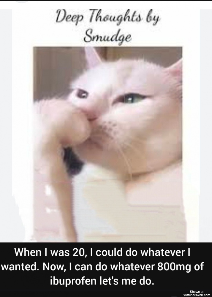 Thoughts By Smudge #0