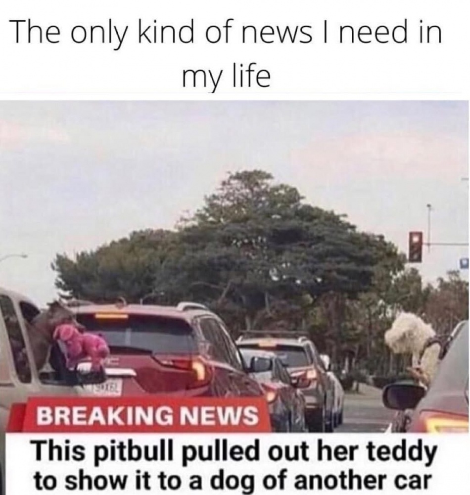 This Kind Of News #0