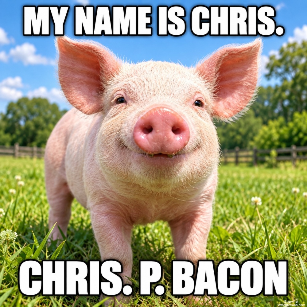 My Name Is Chris #0