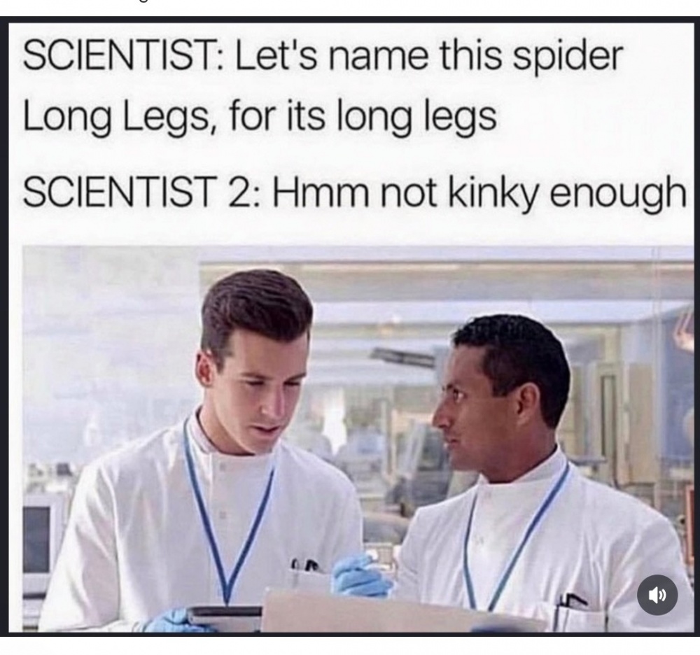 Not Kinky Enough #0