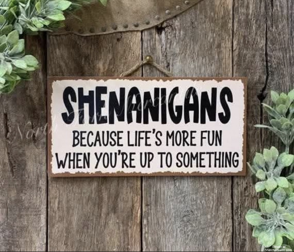 Shenanigans #0