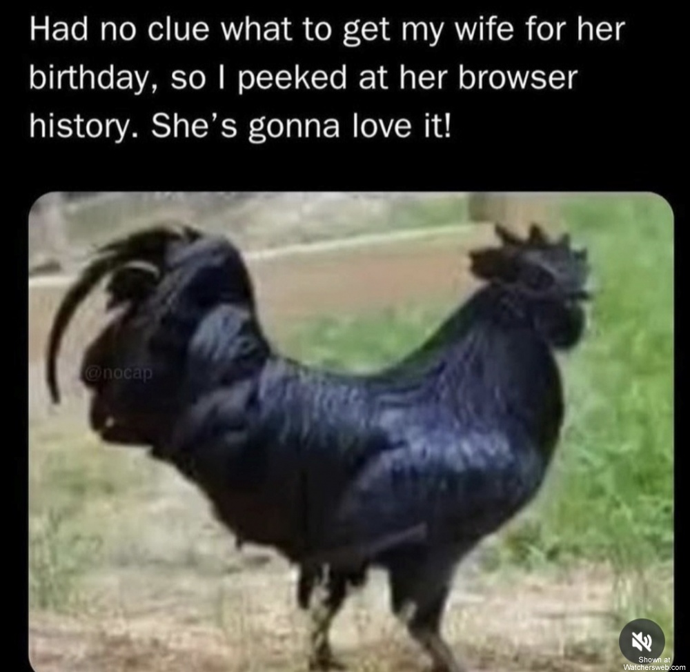 Black Cock #0