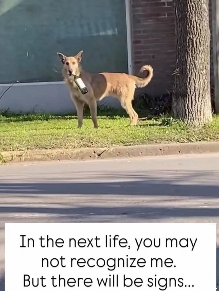 There Will Be Signs #0