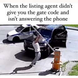 The Listing Agent