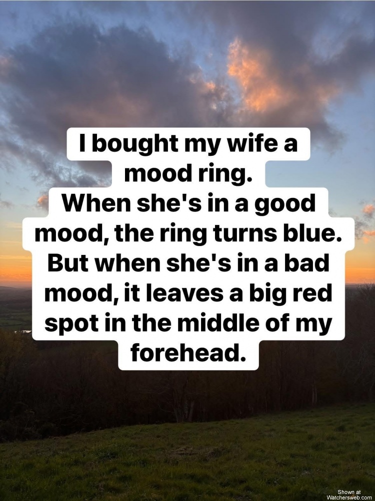 My Wife #0