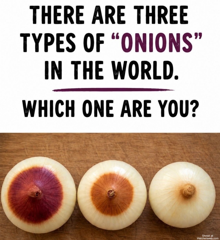 Onions #0