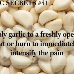 Garlic Secrets
