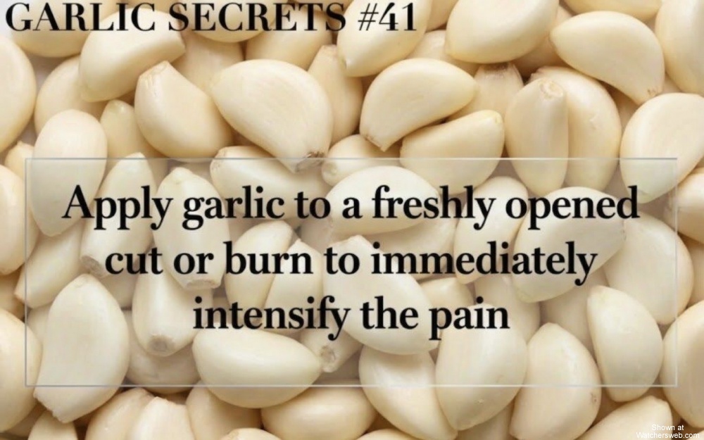 Garlic Secrets #0