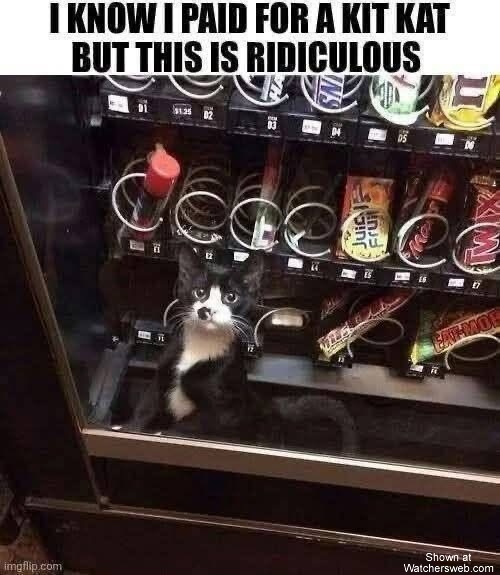 Kit Kat #0