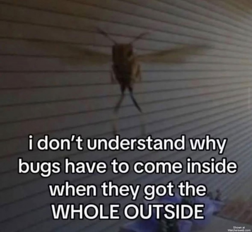 I Just Don’t Get It #0
