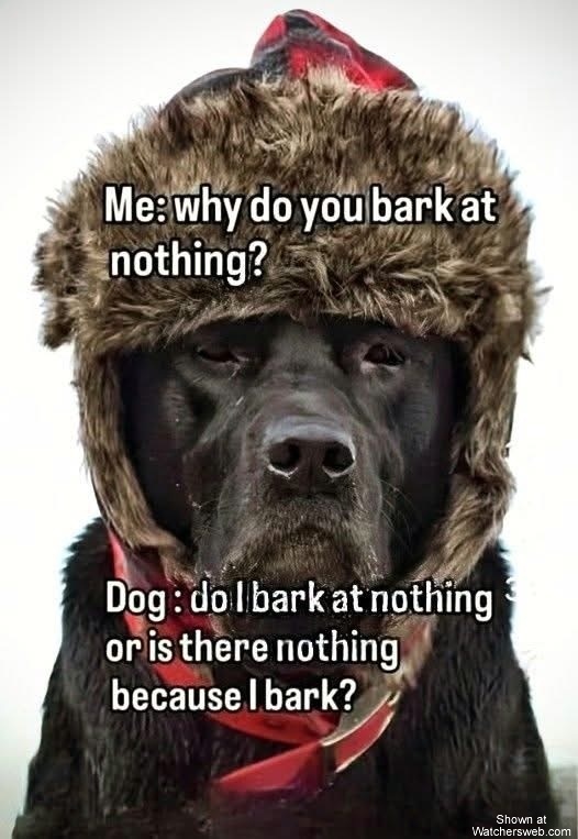 Why? #0