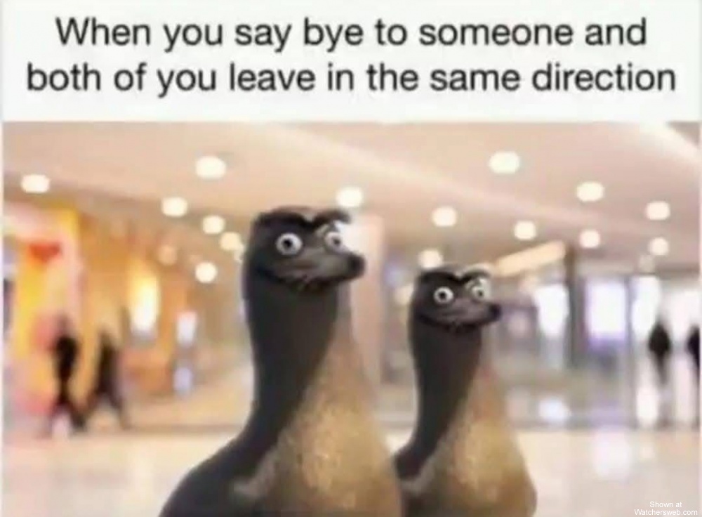 Bye #0