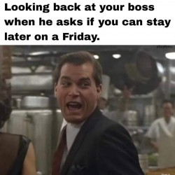 Can You Stay?