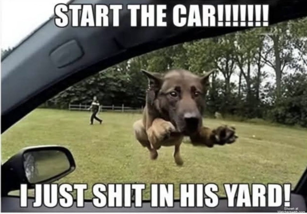 Start The Car #0