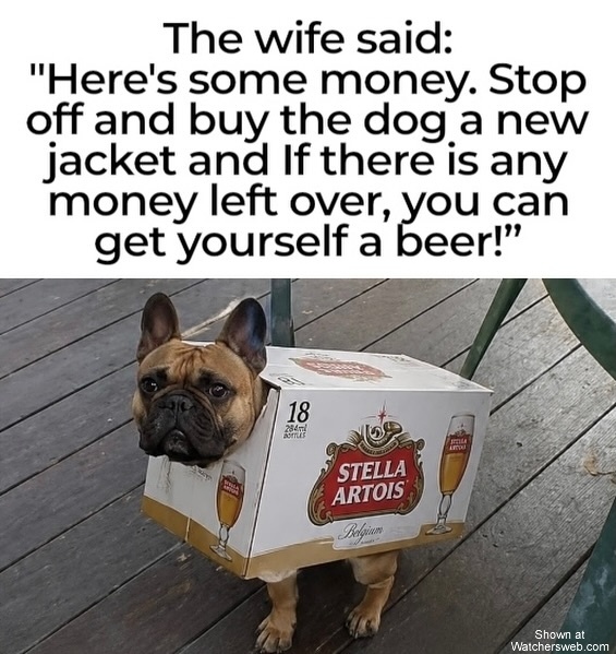 Dog Jacket #0
