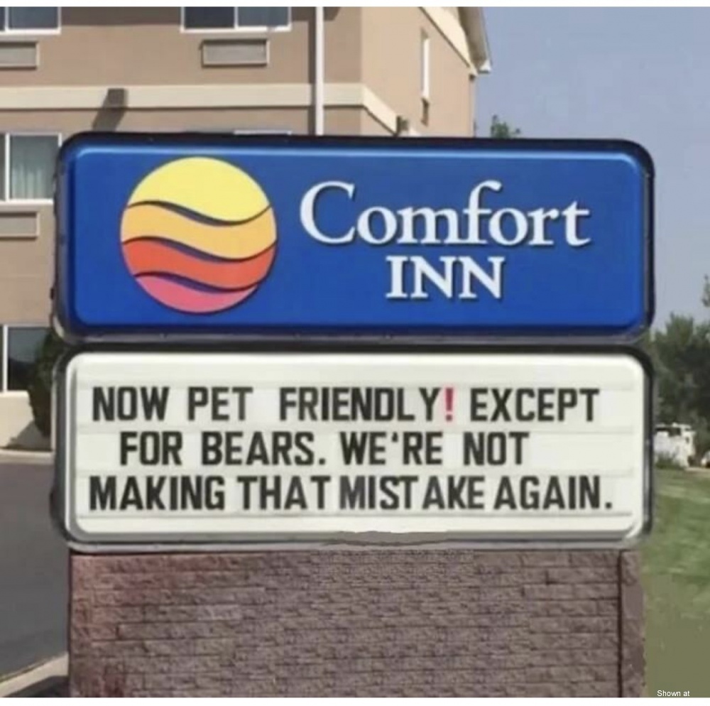 No Bears #0