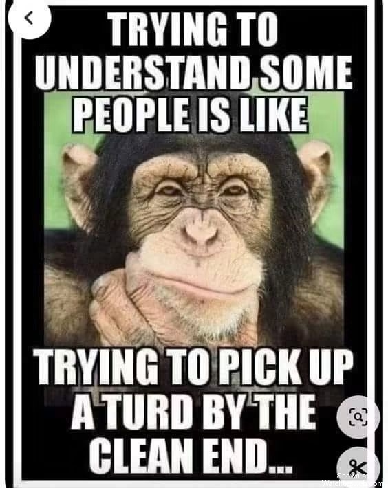 Trying To Understand #0