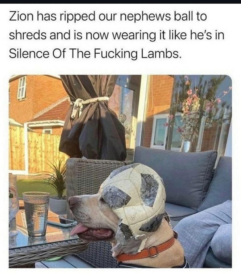 Silence Of The Lambs #0