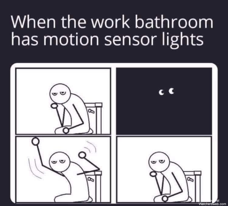 Motion Sensor Lights #0