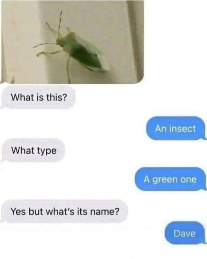Dave #0