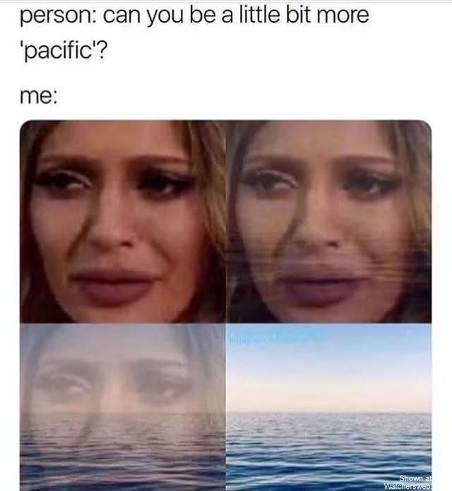 Specific You Fuckwit #0
