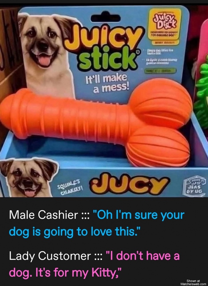 It's For My Kitty #0