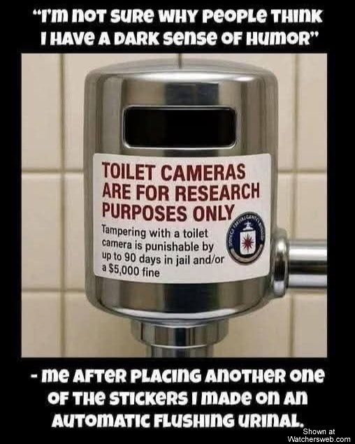 Toilet Camera #0