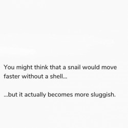 Sluggish
