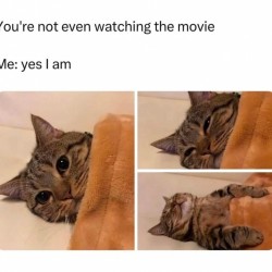 I’m Watching