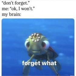 Forget What?
