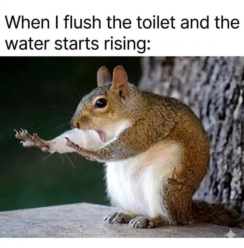 No No No #0