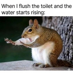 No No No