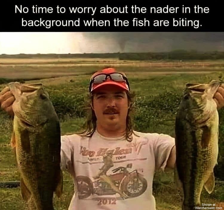 Fish Are Biting #0