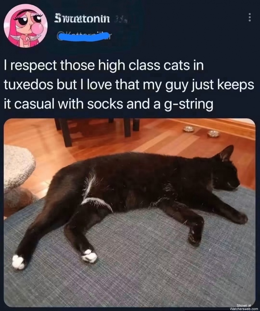 Casual #0