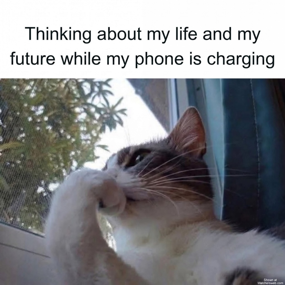 Life #0